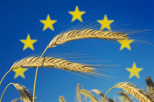 elezioni-europee-agricoltura.jpg