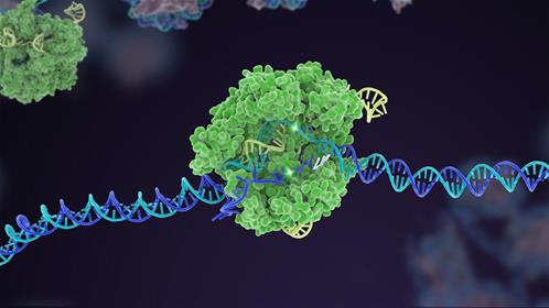 crispr-cas9-genome-editing-dna-banner.jpg