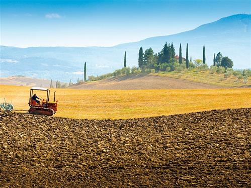 ciatoscana_agricoltura_panorama_senese.jpg