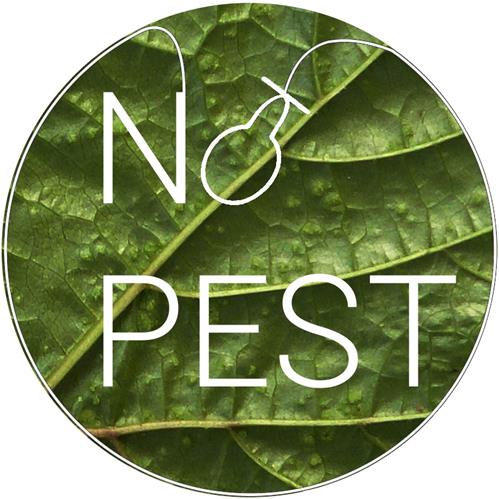 no pest.jpg