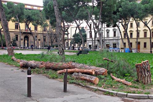 alberi-piazza-vittoria.jpg