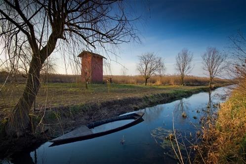 Padule-di-Fucecchio-parco-naturale-Toscana.jpg